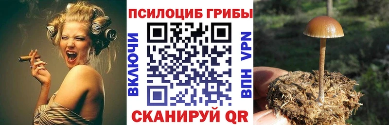 Галлюциногенные грибы ЛСД  Горбатов 